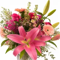 Blush Lily Élégance